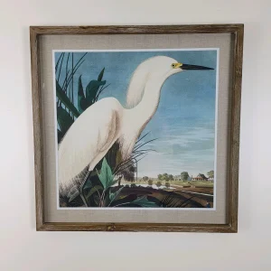 Cuadro garza blanca 60x60 cm