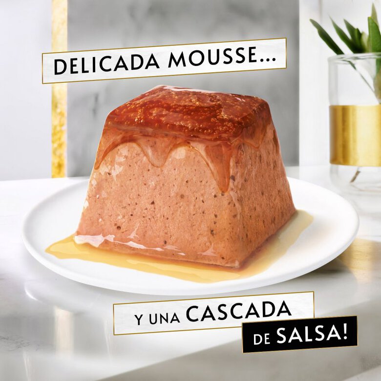 GOURMET REVELATIONS PACK MOUSSE CON PESCADO DEL OCÉANO 4x57g (6ud./caja) - Imagen 3